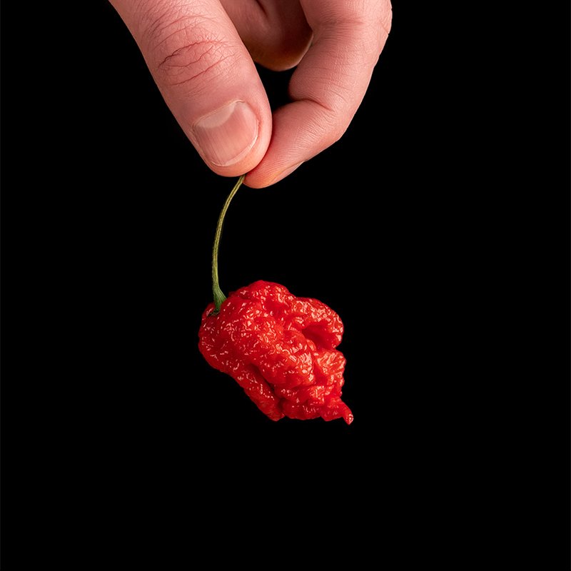 Imagen de Carolina Reaper, el chile más picante del mundo